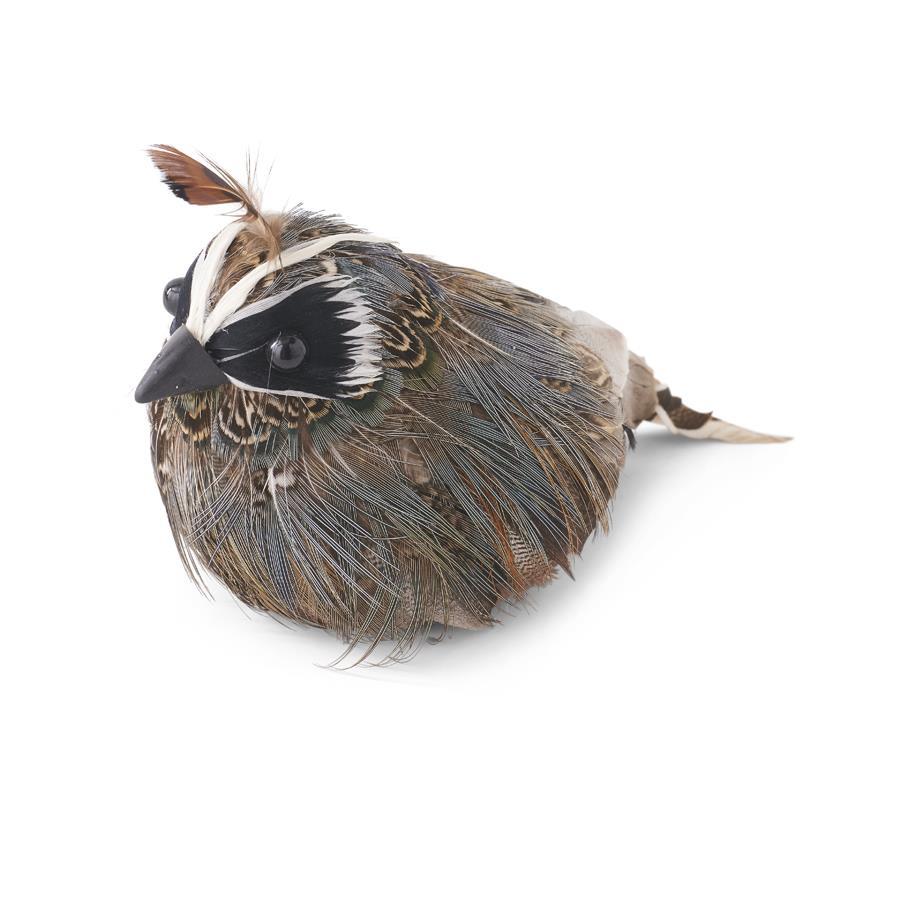 Feathered Quail Item #: 41373A 4inch
