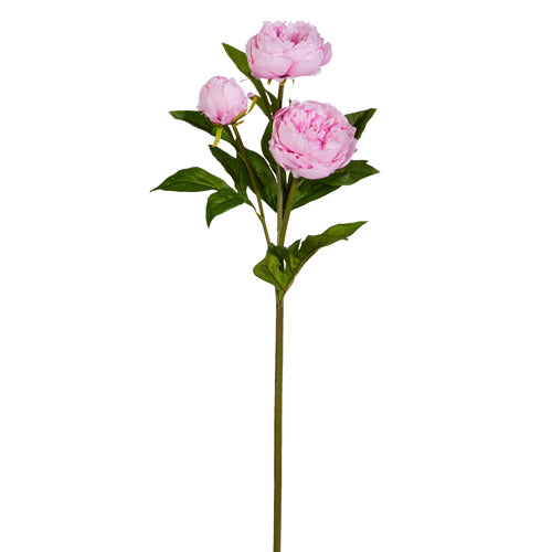 Pink Peony Stem 30" #F4512828