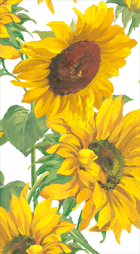 Sunflower Field Guest Towel