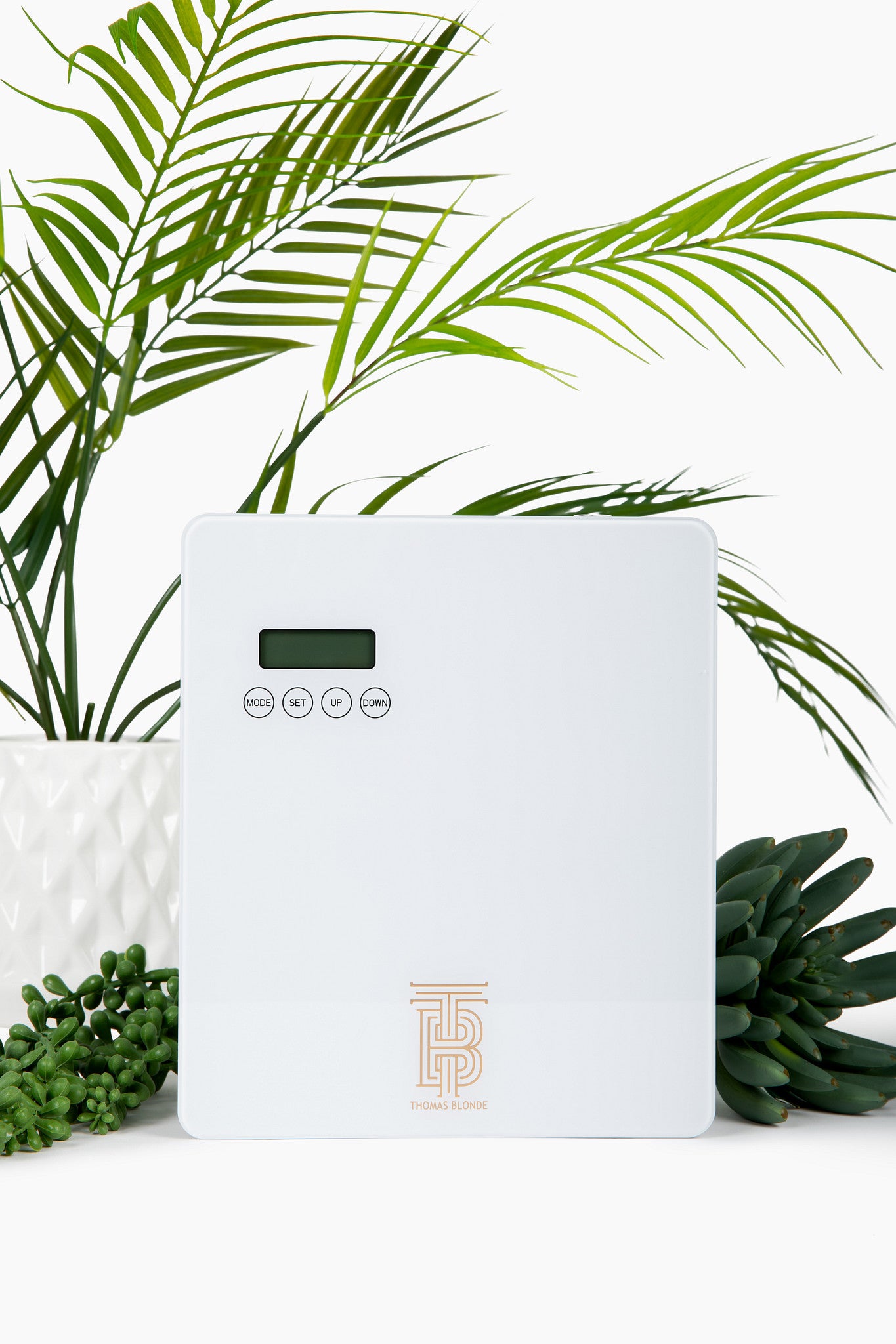 TB Blondi Mini Diffuser