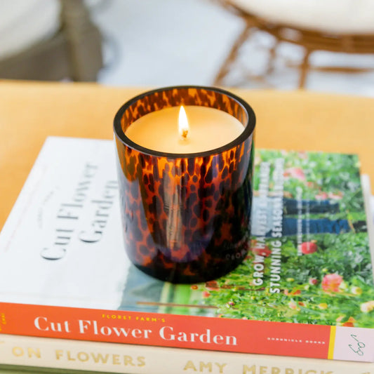 Sweet Grace Tortoise Candle 10.2oz #064