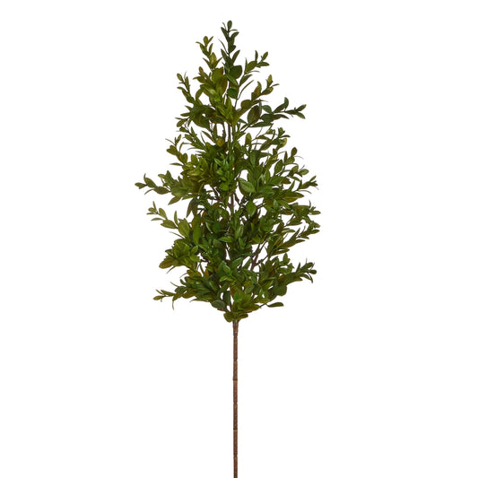 Raz Boxwood Branch 24"