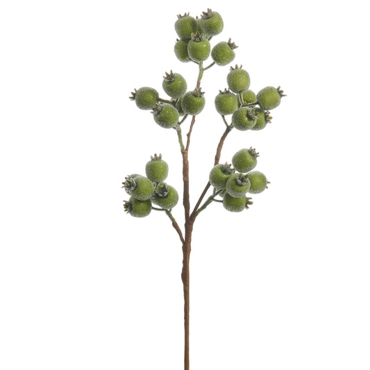 Raz Iced Green Berry Spray 21"