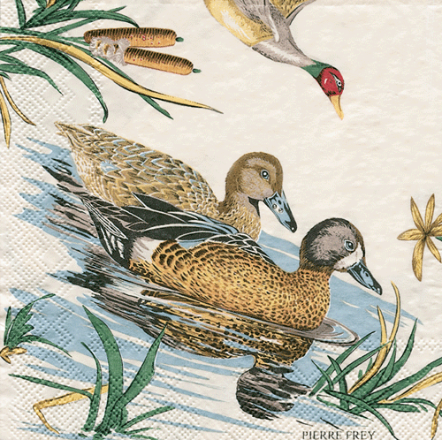 Sologne Napkin Cocktail (ducks)