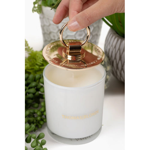 TB Joshua Tree Topless Blonde Candle